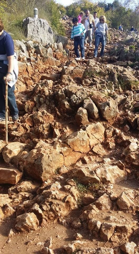 efb11aff50271be08ed330e0287ddb75