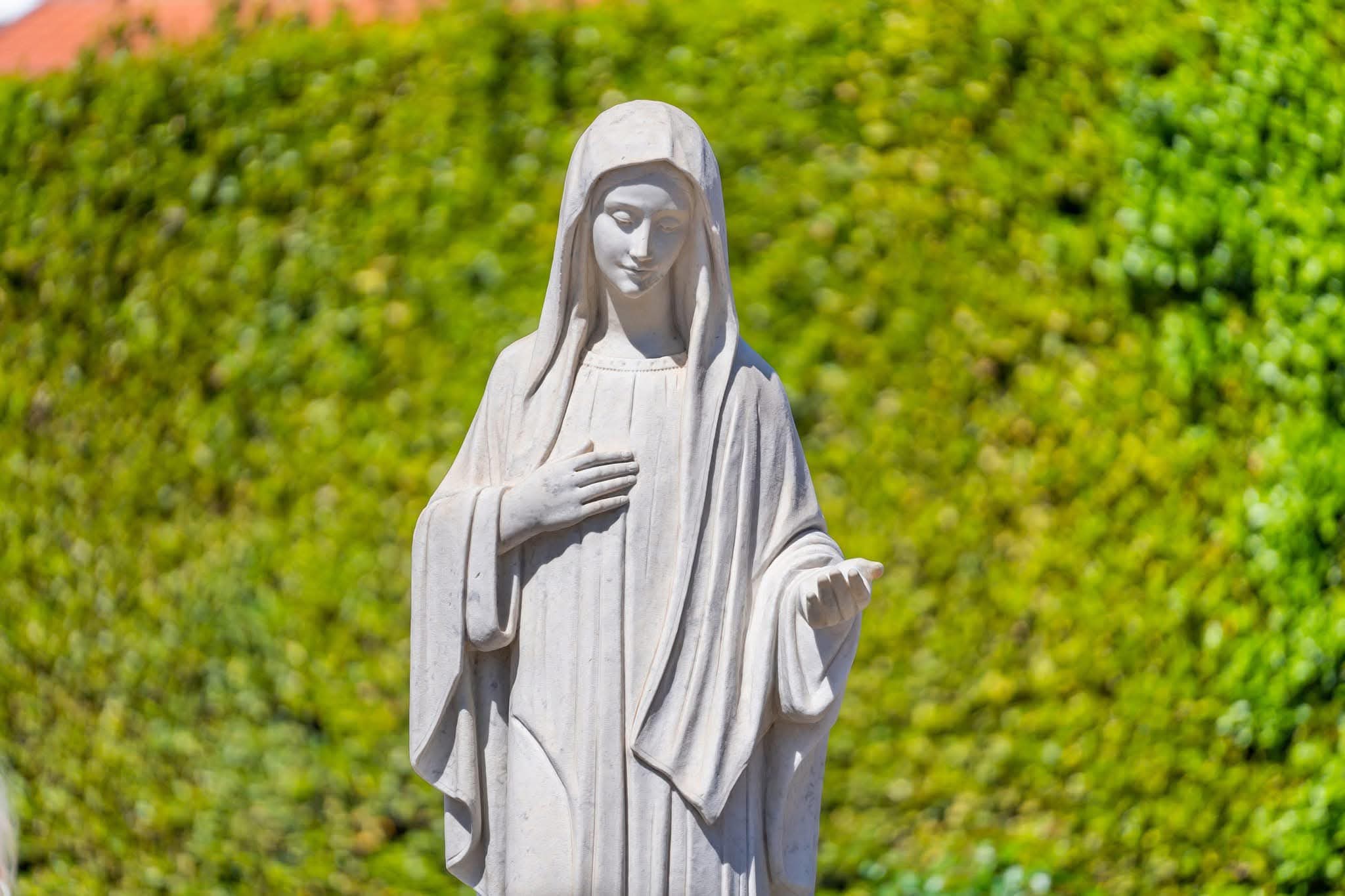 FB_IMG_1765106764072